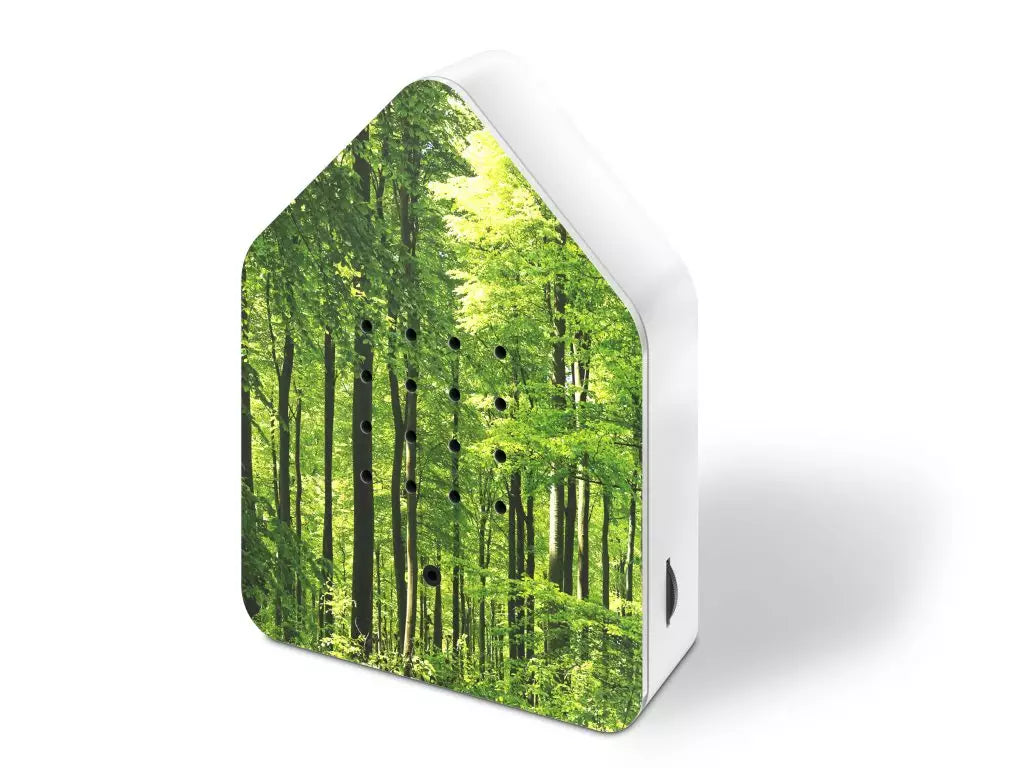 Zwitscherbox Wald