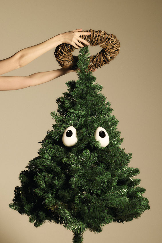 Alessi Treebies Holly 2er Set